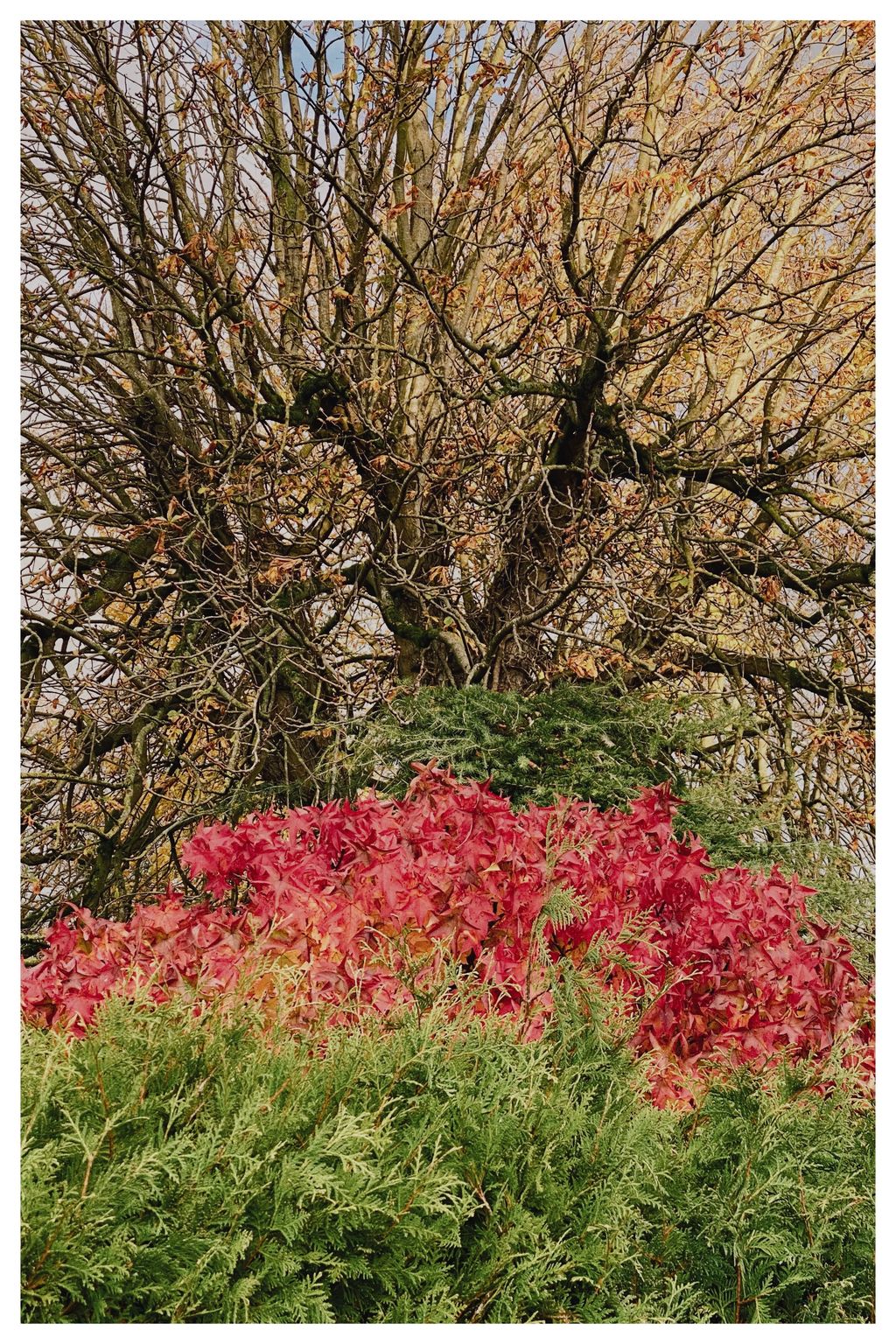 Die Farben des Herbst