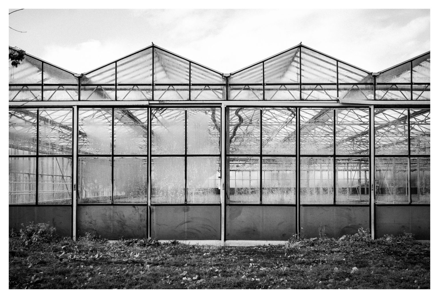 Formen und Linien aus Metall und Glas eines Gewächshaus