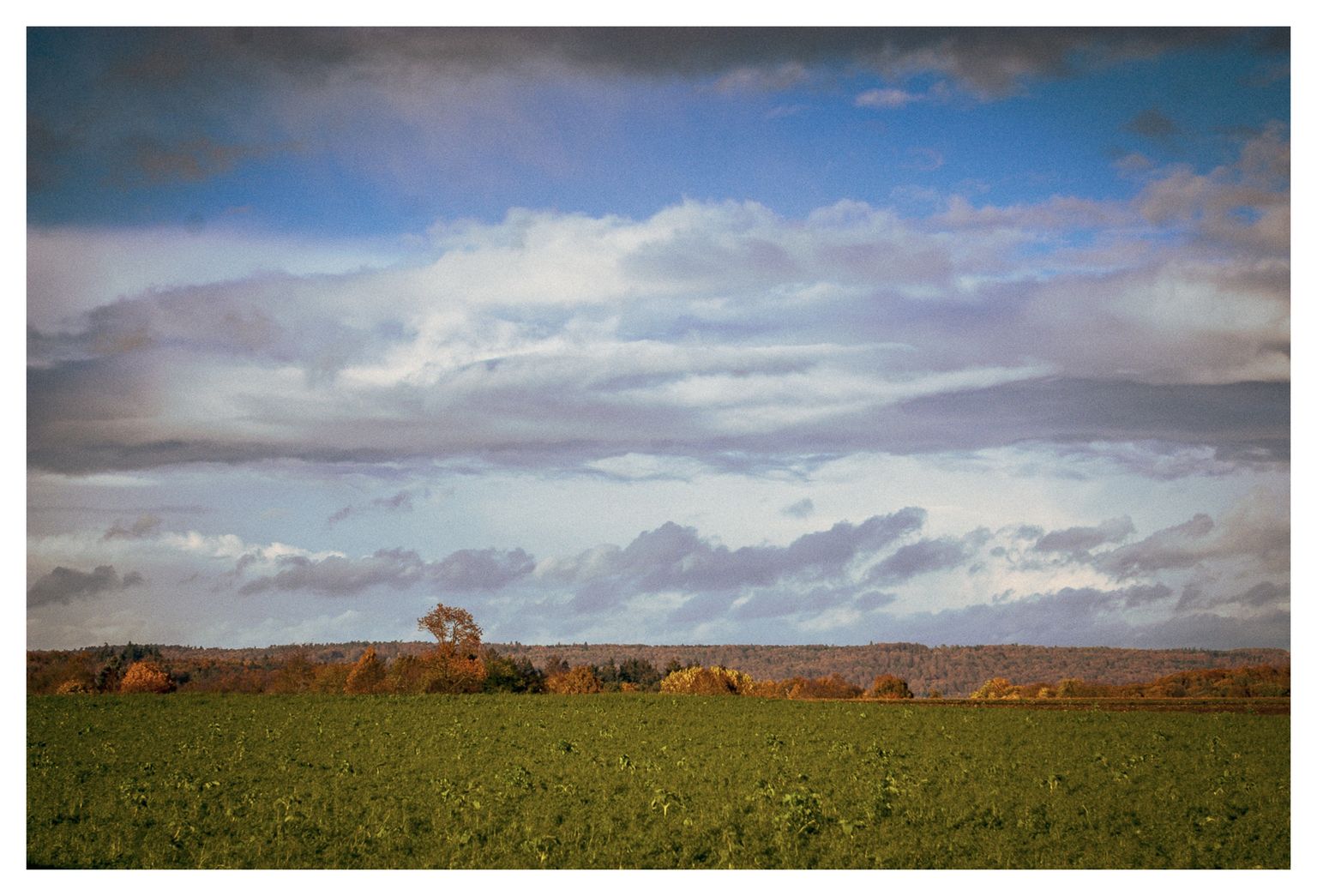 Drama am Himmel und Einer will hoch hinaus