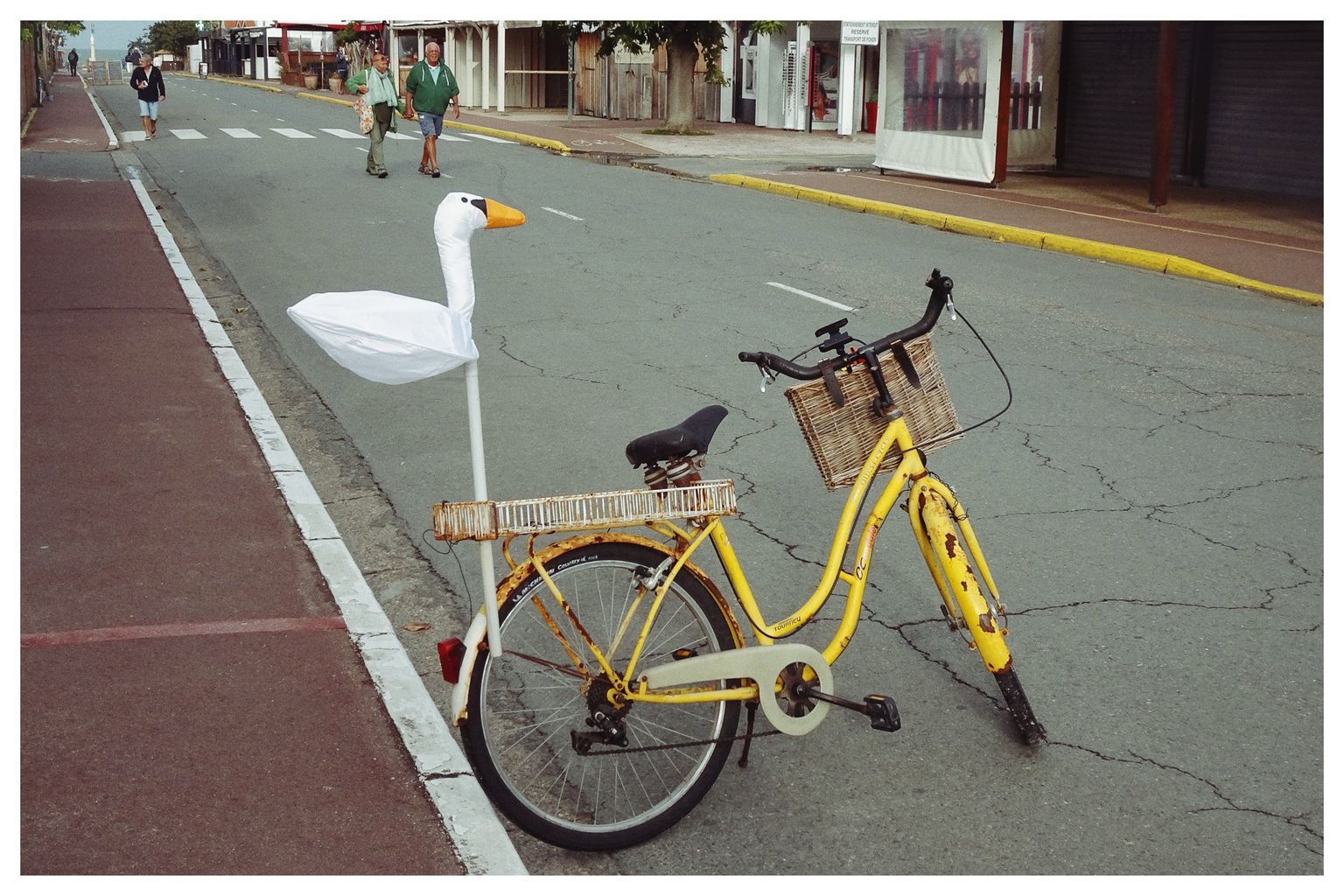 Die etwas anders 'Fahrende Gans'