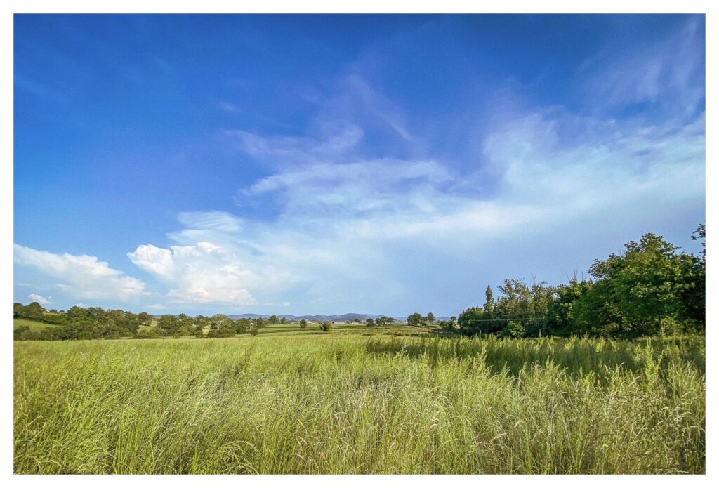Herrlicher Ausblick vom Womo aus über Felder und Wälder