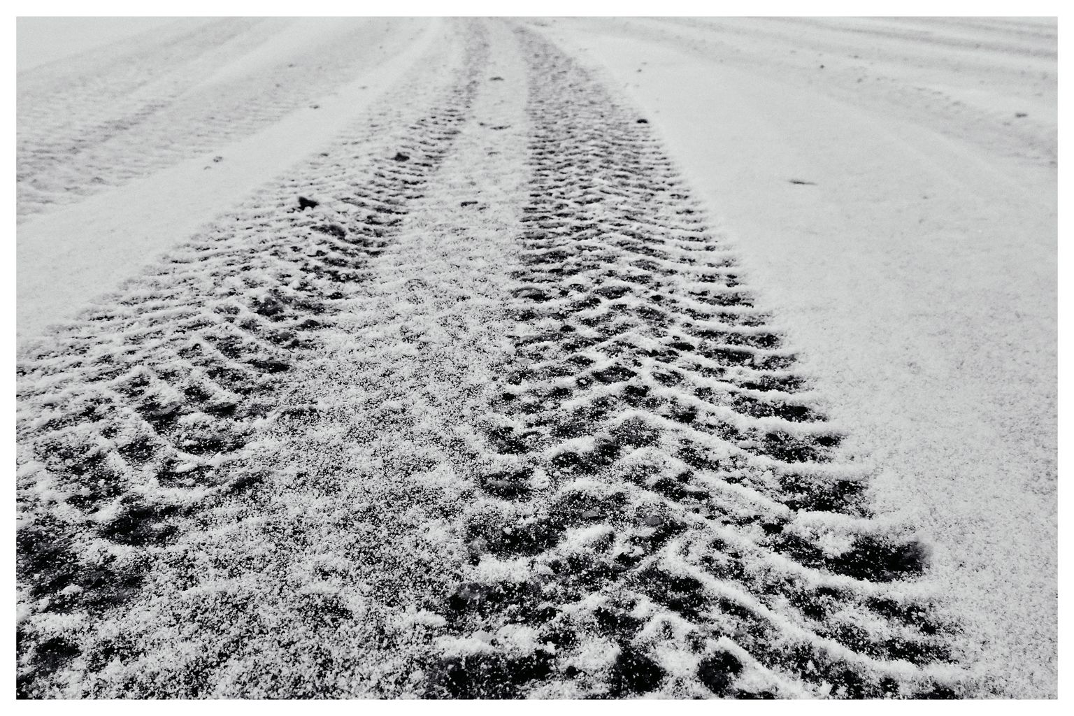 Spuren im Schnee (37/365)