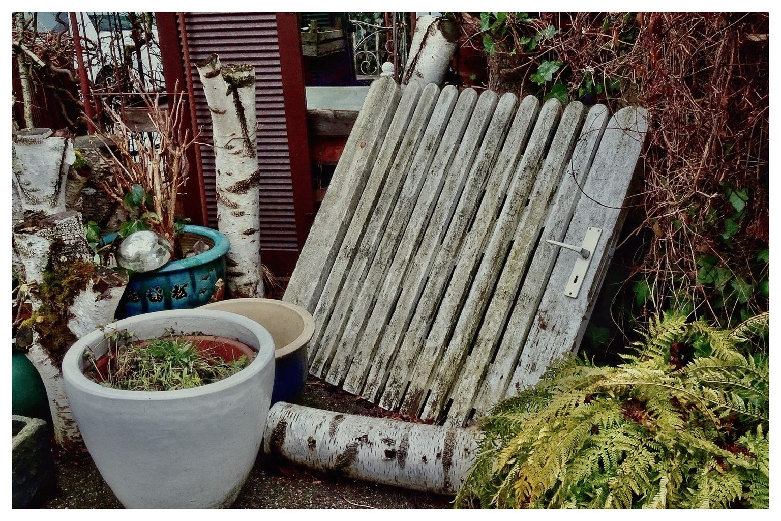 Pittoreske Unordnung (41/365)