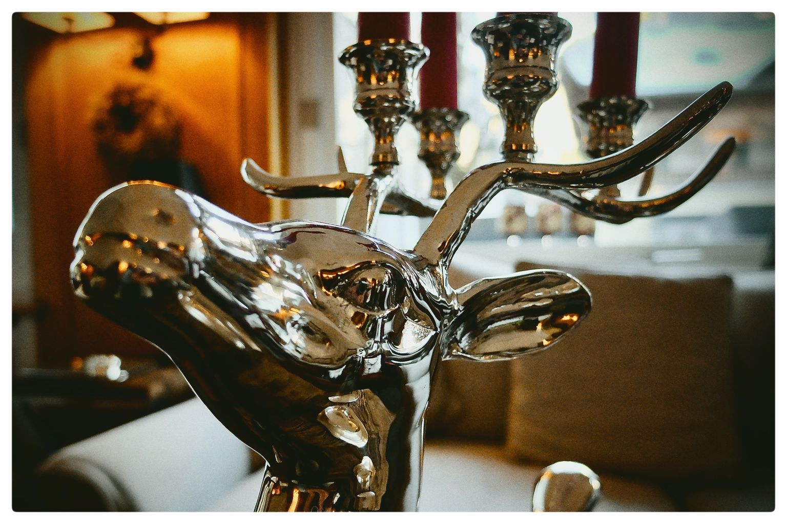 Silberhirsch (32/365)