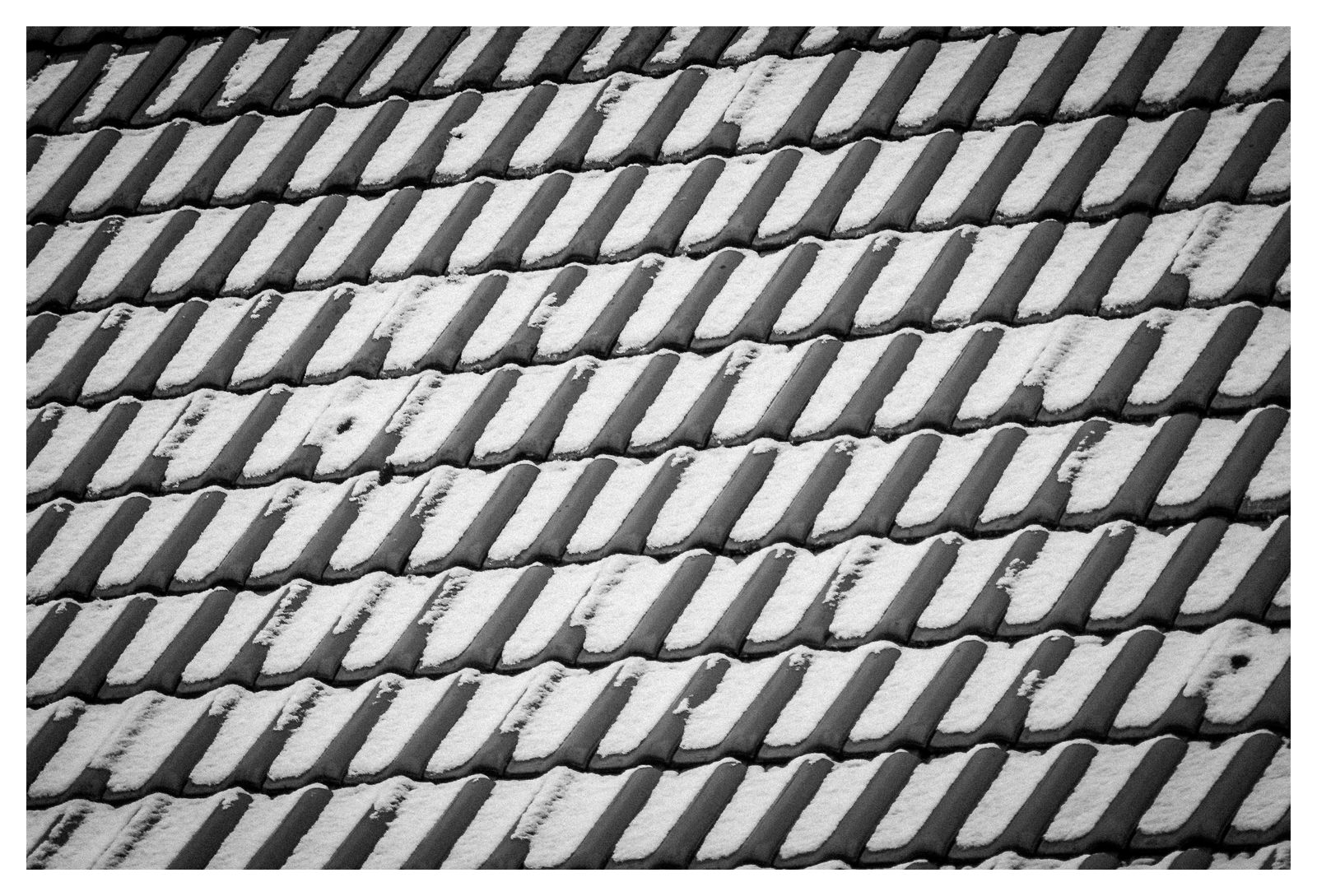 Bevor er geht (39/365)