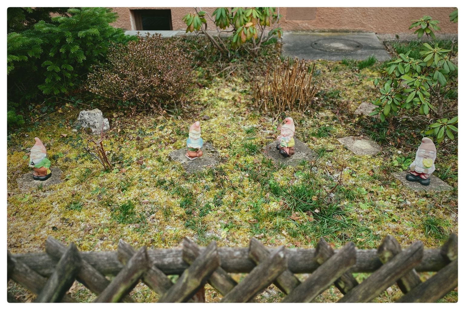 4 von 7 Zwergen (56/365)