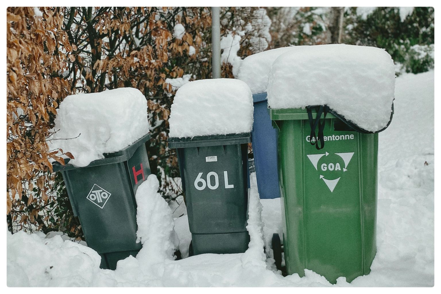 Mülltonnenmützen (57/365)