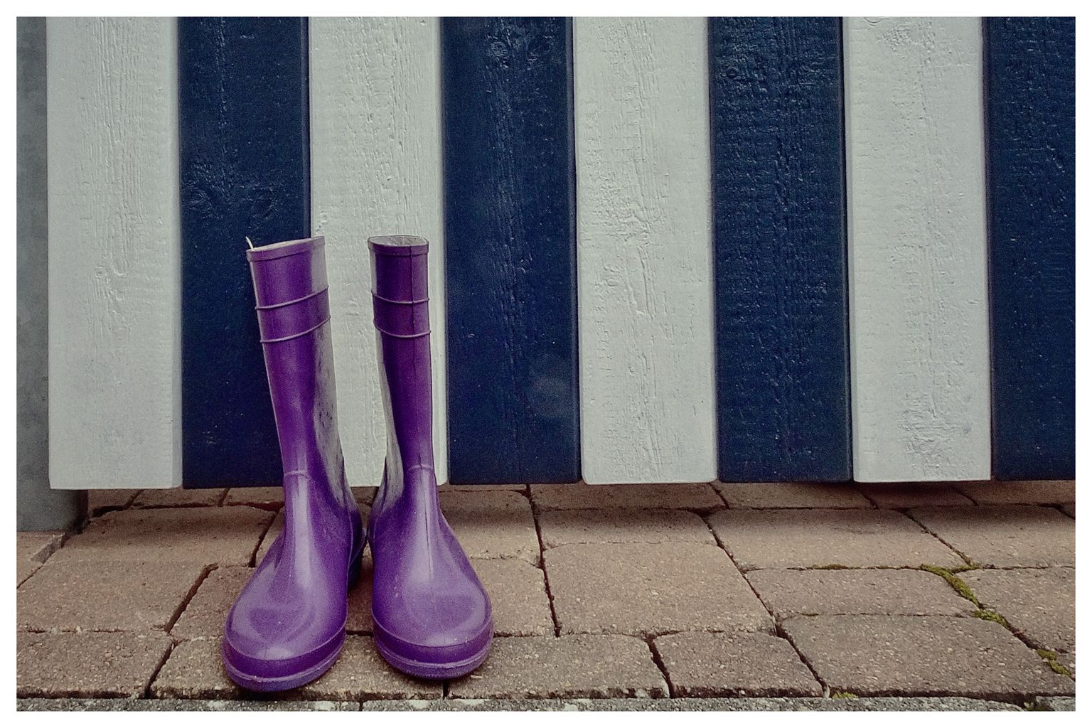 Zu Verschenken (67/365)