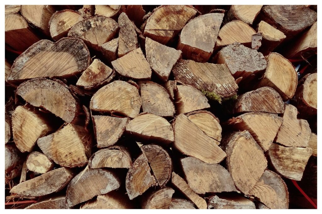 Brennholz (72/365)