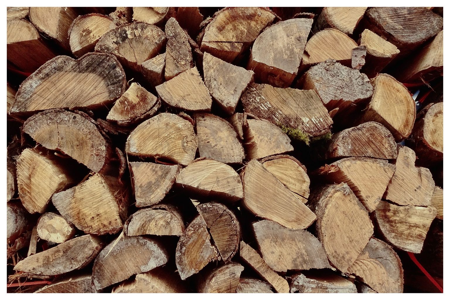 Brennholz (72/365)