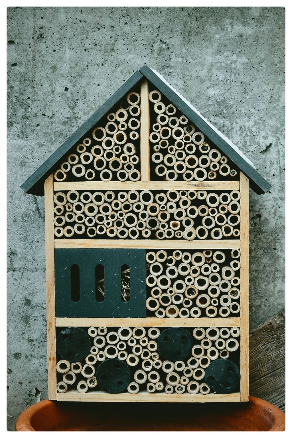 Bereit zum Einzug (69/365)