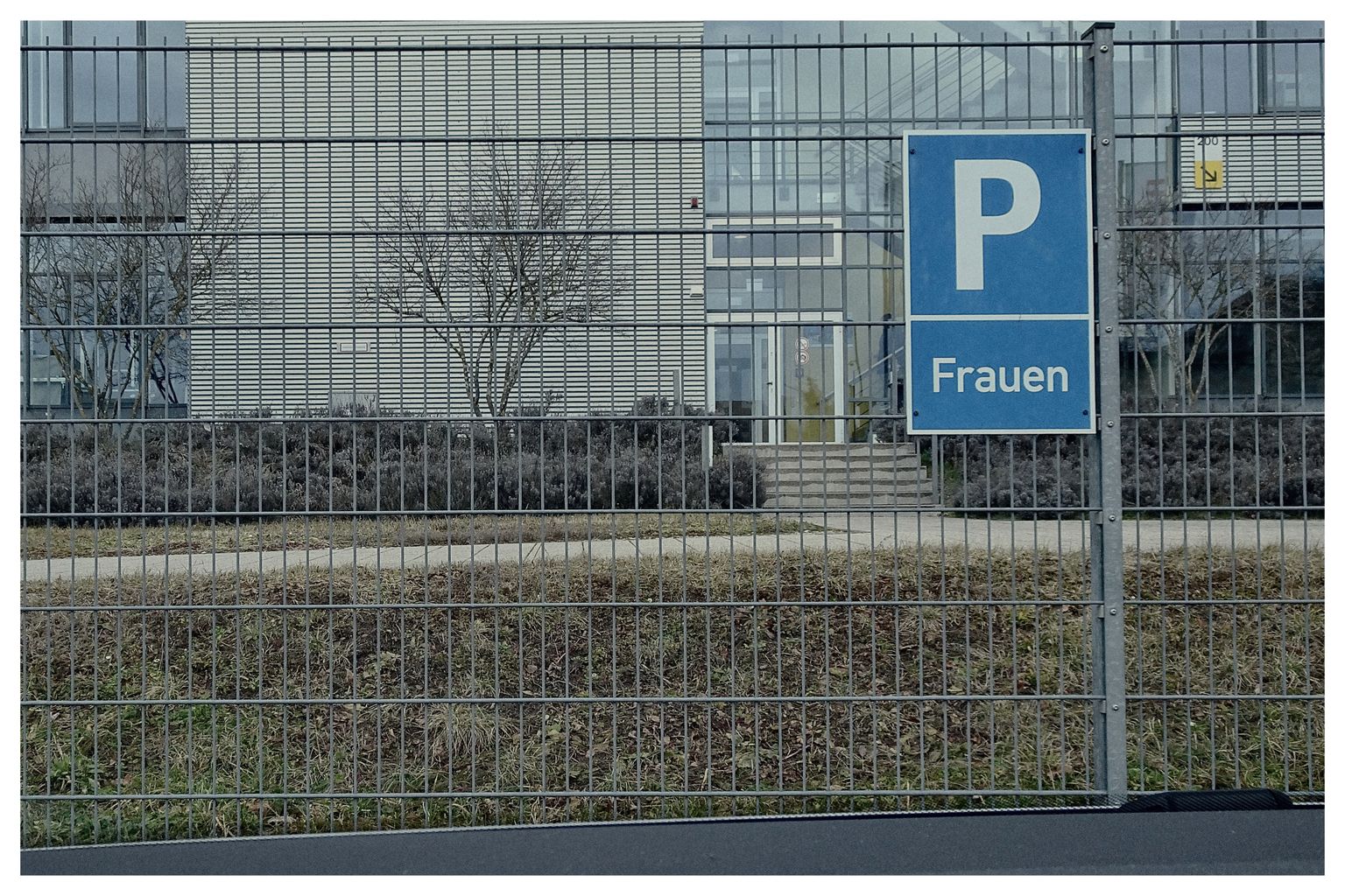 Frauenparkplatz (78/365)