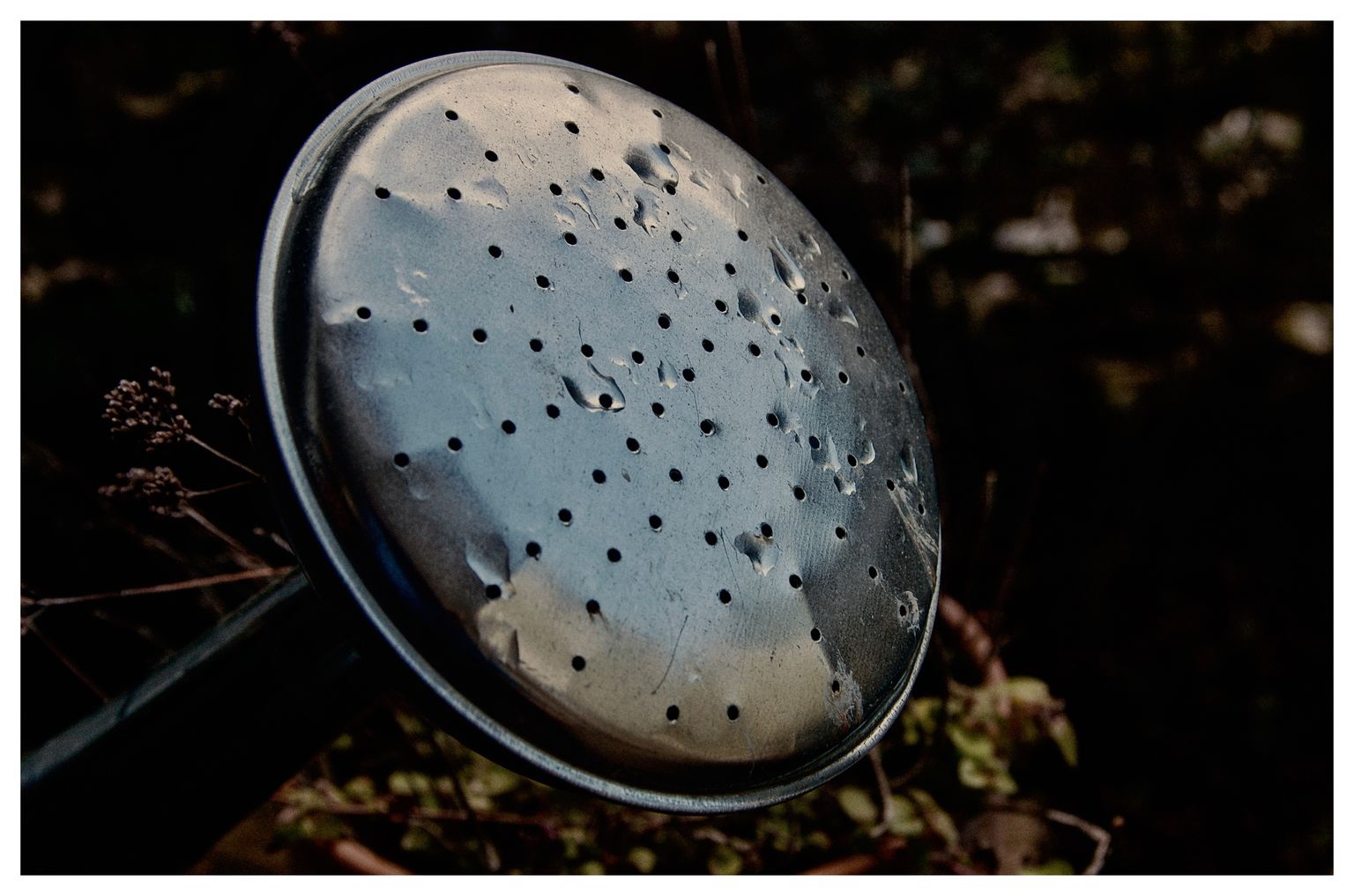 Giesskannenlöcher (64/365)