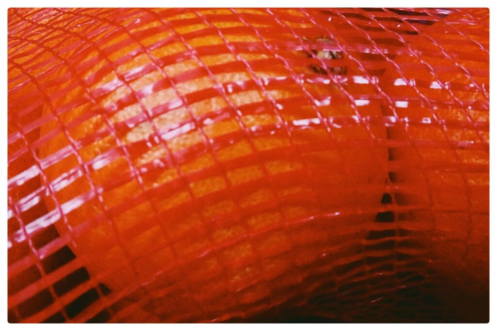 eingenetzte Frische :: 080/365