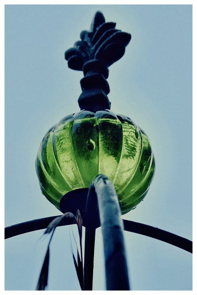 grünes Glas (81/365)