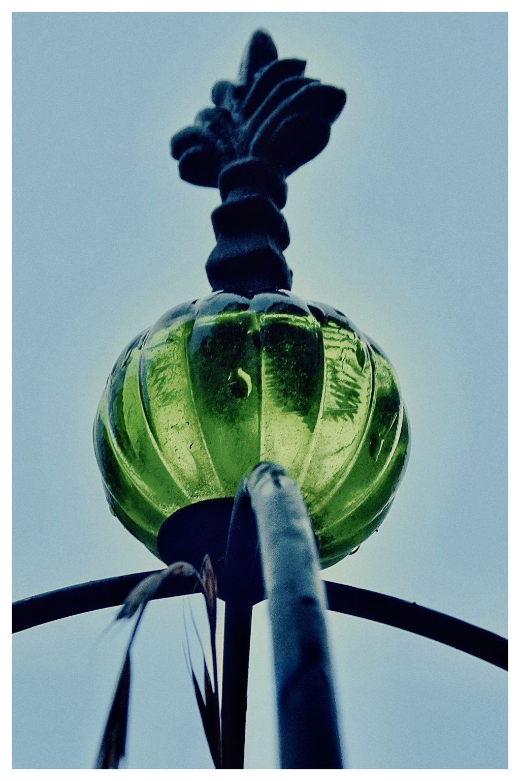 grünes Glas (81/365)