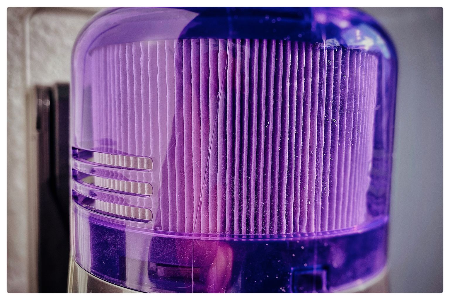 lila Deckel (91/365)